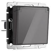 Розетка влагозащ. с зазем. с защит. крышкой и шторками (графит акрил) W1171244