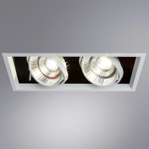 Карданный светильник Arte Lamp MERGA A8450PL-2WH фото 2