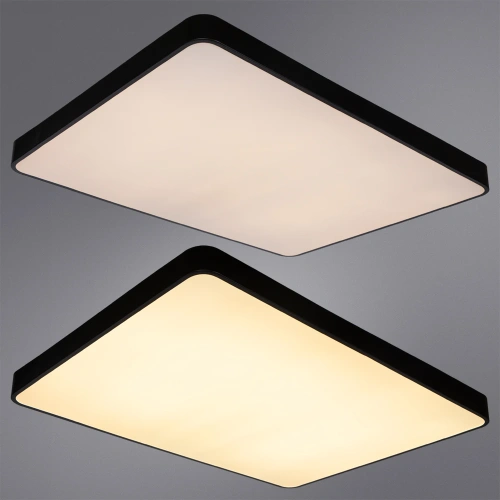 Потолочный светильник Arte Lamp SCENA A2662PL-1BK фото 3