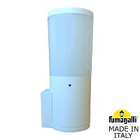 Fumagalli Светильник уличный настенный FUMAGALLI AMELIA WALL DR2.570.000.WYE27