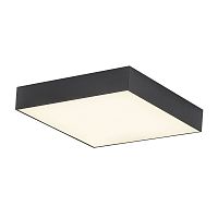 Citilux Тао CL712X242N LED Светильник потолочный с диммером Чёрный
