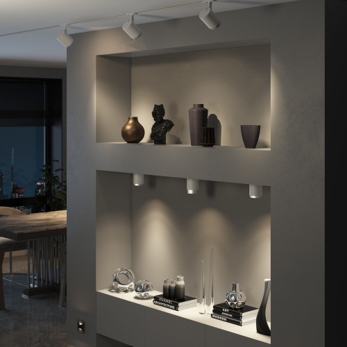 Потолочный светодиодный светильник Cors 25032/LED 10W 4200K белый/серебро фото 2