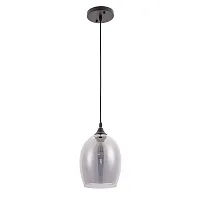 Подвесной светильник Arte Lamp PROPUS A4344SP-1BK