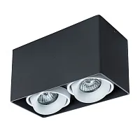 Точечный накладной светильник Arte Lamp PICTOR A5654PL-2BK