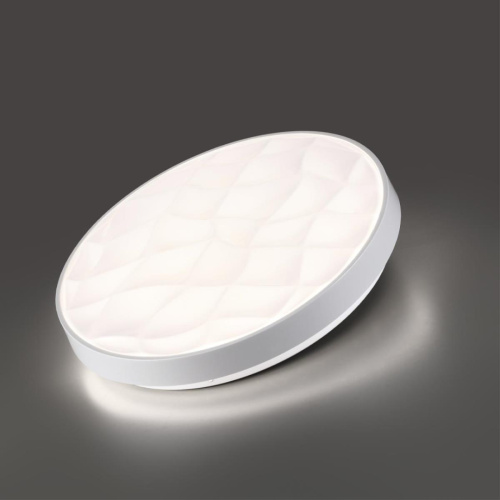 Настенно-потолочный светильник Sonex PALE 7672/ELN фото 2