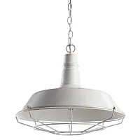 Подвесной светильник Arte Lamp PANDORA A9183SP-1WG