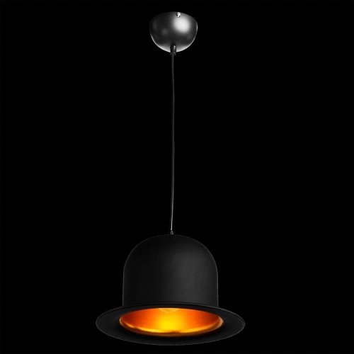 Подвесной светильник Arte Lamp CAPPELLO A3234SP-1BK фото 2 Подвесной светильник Arte Lamp CAPPELLO A3234SP-1BK фото 2