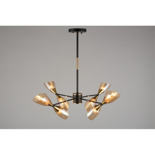 Люстра потолочная OML-66807-08 фото 2 Люстра потолочная OML-66807-08 фото 2