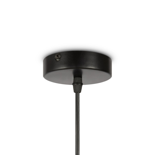 Подвесной светильник Freya Modern AvaGarden FR5249PL-03BG фото 6