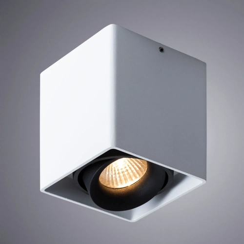 Точечный накладной светильник Arte Lamp PICTOR A5654PL-1WH фото 2