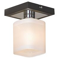 Потолочный светильник Lussole LSL-9007-01