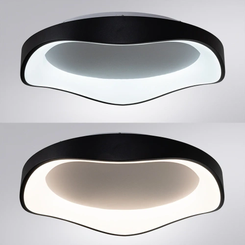 Потолочный светильник Arte Lamp ANKAA A3085PL-56BK фото 3 Потолочный светильник Arte Lamp ANKAA A3085PL-56BK фото 3