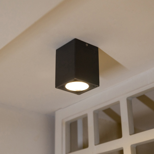 Потолочный фонарь Natural Concepts, Арт. NC-133474-DG фото 4