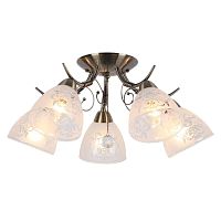 Люстра потолочная OML-53807-05