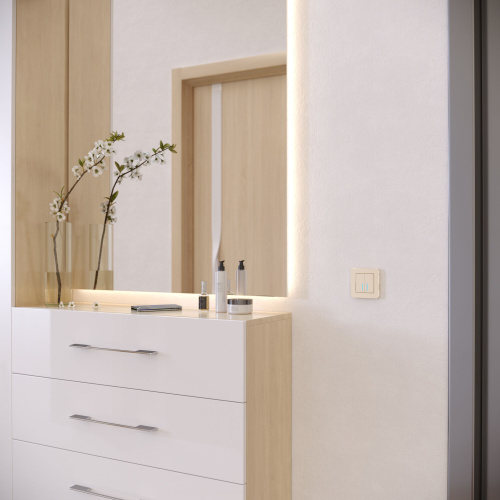 Рамка из металла на 1 пост Platinum шампань W0012611 фото 2 Рамка из металла на 1 пост Platinum шампань W0012611 фото 2