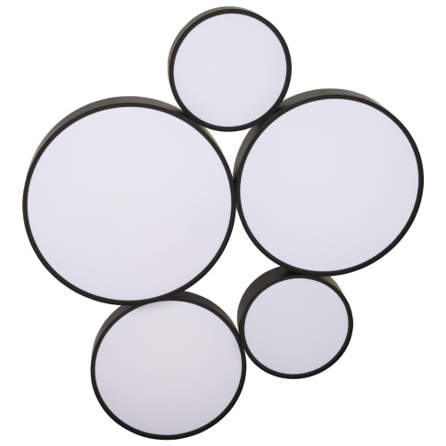 10218 Black Потолочный светильник LOFT IT Drum фото 2