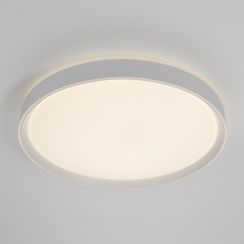 Citilux BOSS CL751450G LED RGB Светильник с пультом Белый фото 4