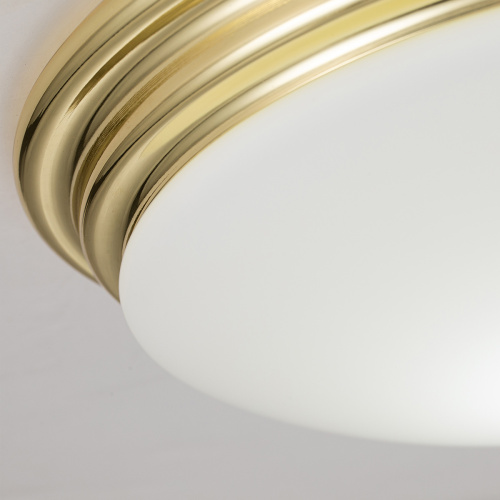 Потолочный светильник для ванных комнат Elstead Lighting, Арт. BATH-BROMPTON-F-PB фото 5