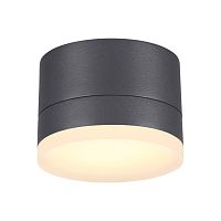 358084 STREET NT19 728 темно-серый Ландшафтный светильник IP54 LED 3000К 12W 220V KAIMAS