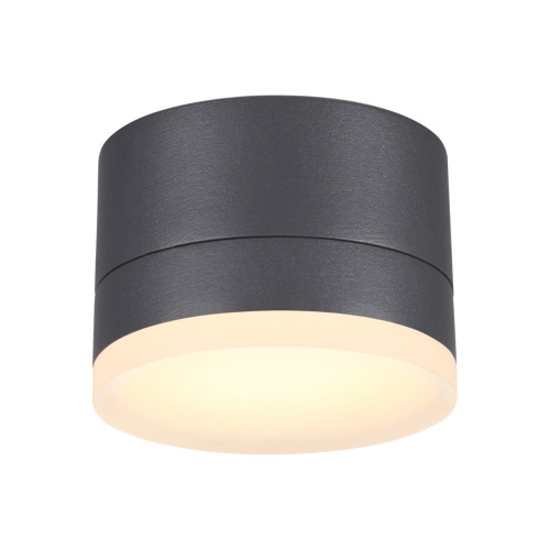 358084 STREET NT19 728 темно-серый Ландшафтный светильник IP54 LED 3000К 12W 220V KAIMAS 358084 STREET NT19 728 темно-серый Ландшафтный светильник IP54 LED 3000К 12W 220V KAIMAS