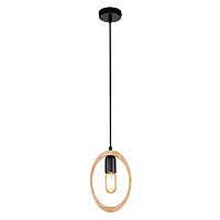 Подвесной светильник Escada 10196/1S E27*40W Black