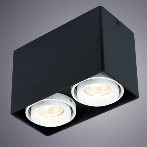 Точечный накладной светильник Arte Lamp PICTOR A5655PL-2BK фото 2 Точечный накладной светильник Arte Lamp PICTOR A5655PL-2BK фото 2