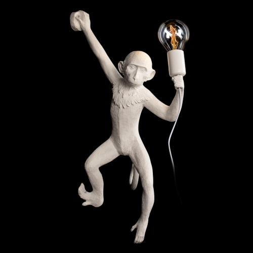 10314W/B Настенный светильник LOFT IT Monkey фото 6