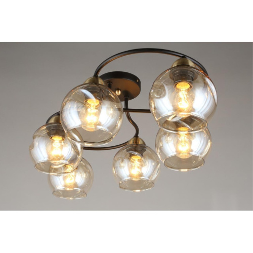 Люстра потолочная OML-95007-06 фото 2