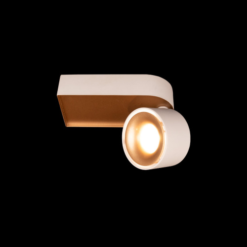 10324/A Gold White Накладной светильник LOFT IT Knof фото 3