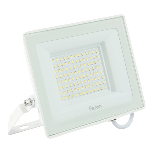 Светодиодный прожектор Feron LL-922 IP65 100W 6400K фото 3