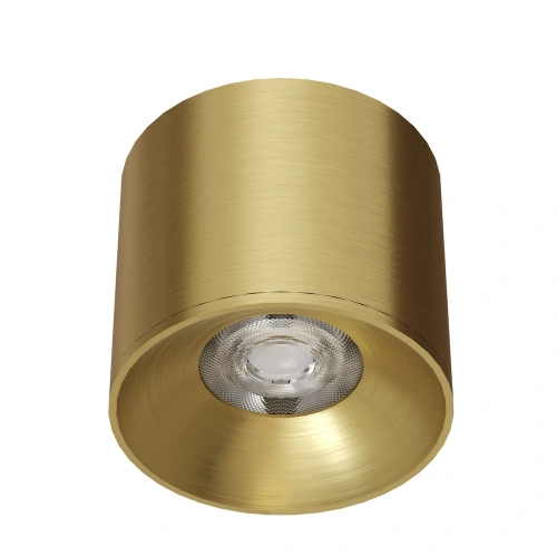 Точечный накладной светильник Arte Lamp PELL A9604PL-1SG