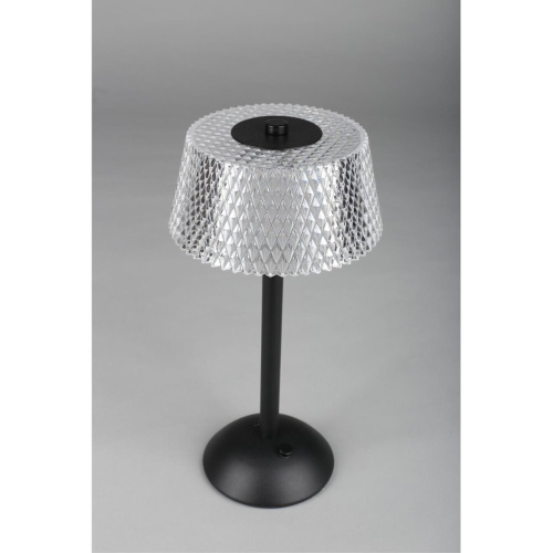 Настольная лампа OML-40104-01 фото 11