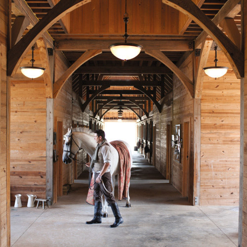 Подвесной светильник Hinkley Lighting, Арт. HK-MAYFLOWER-P-C фото 6