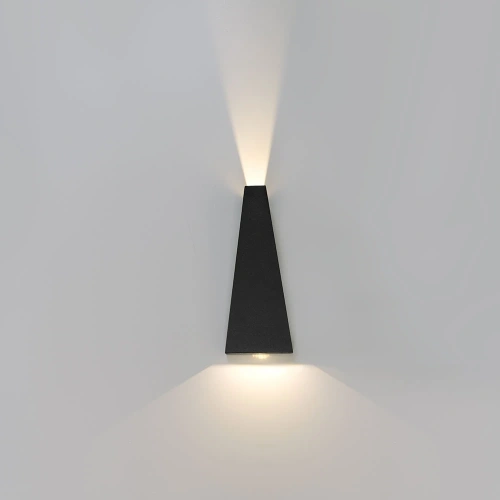 Фасадный светильник Arte Lamp COMETA A1524AL-2BK фото 3
