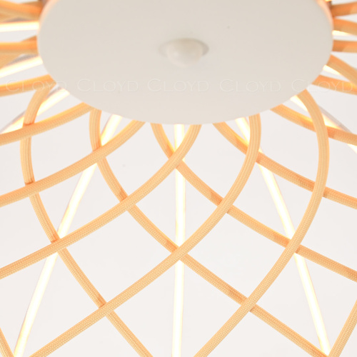 Люстра Cloyd COCKLICO C1 / Ø60 см - желтый - белый (арт.11412) фото 3