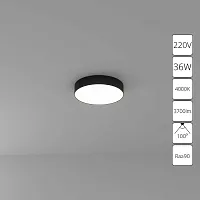 Потолочный светильник Arte Lamp FADO A6635PL-1BK