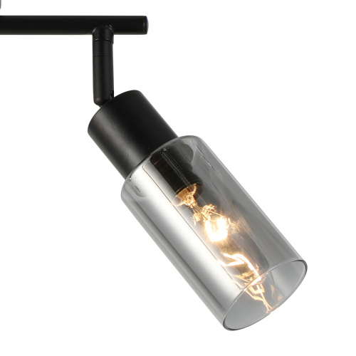 Настенно-потолочный свет Escada 10172/2A E14*40W Black/Chrome фото 3