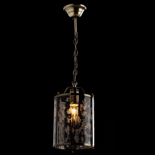 Подвесной светильник Arte Lamp BRUNO A8286SP-1AB фото 2 Подвесной светильник Arte Lamp BRUNO A8286SP-1AB фото 2