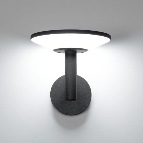Citilux Dorn CLU05W LED Уличный настенный светильник Графит фото 10 Citilux Dorn CLU05W LED Уличный настенный светильник Графит фото 10