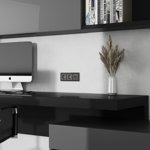 Накладка для двойной розетки Еthernet RJ-45 (графит акрил) W1191144 фото 2