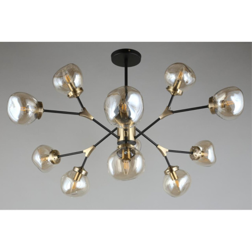 Люстра потолочная OML-95107-12 фото 9