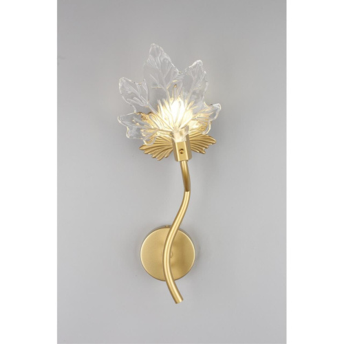 Светильник настенный (Бра) OML-52701-01 фото 7 Светильник настенный (Бра) OML-52701-01 фото 7