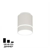 Citilux Борн CL745020N LED Светильник накладной Белый