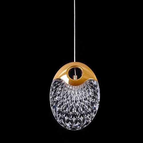 Подвесной светильник Arte Lamp VITORIA A2095SP-1GO фото 5