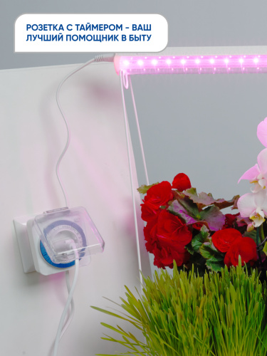 Розетка с таймером Feron TM31 суточная мощность 3500W/16A IP44 фото 3