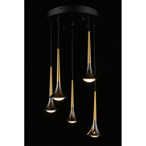 Люстра подвесная APL.784.06.05 фото 9 Люстра подвесная APL.784.06.05 фото 9