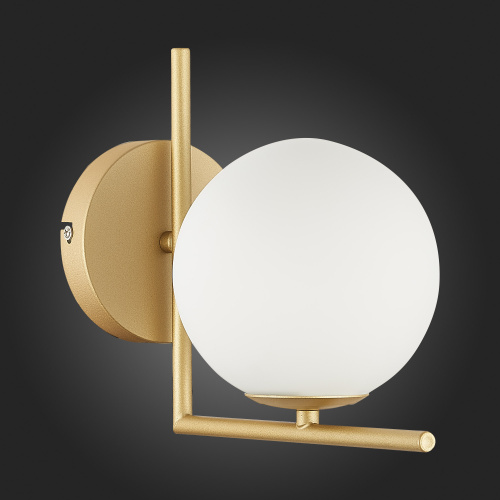 SL1148.301.01 Светильник настенный ST-Luce Латунь/Белый G9 1*5W CODDA фото 3