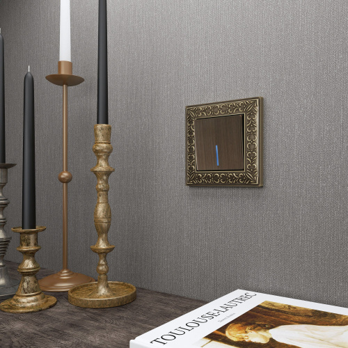 Клавиша для выключателя c подсветкой (бронзовый) W1119112 фото 2 Клавиша для выключателя c подсветкой (бронзовый) W1119112 фото 2