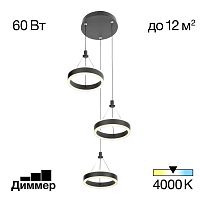 Citilux Дуэт CL719031 LED Подвесной светильник Чёрный