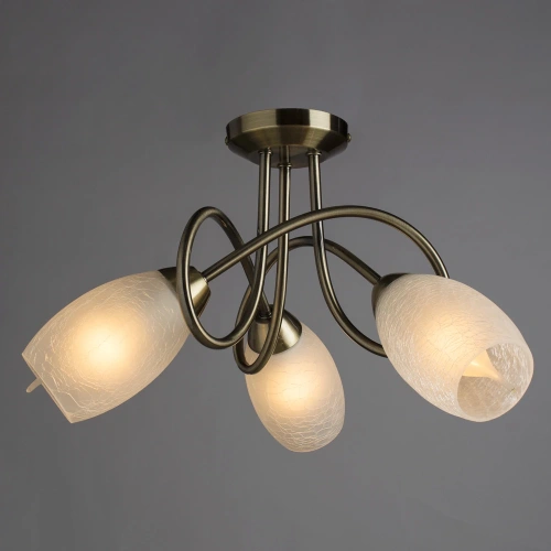 Потолочная люстра Arte Lamp MUTTI A8616PL-3AB фото 2 Потолочная люстра Arte Lamp MUTTI A8616PL-3AB фото 2